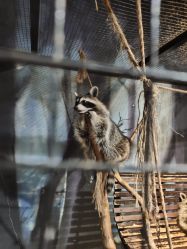 -酷嗒动物文化乐园(cutezoo西溪乐天城店)