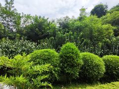 -望江楼公园