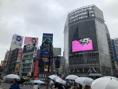 -涩谷全向十字路口