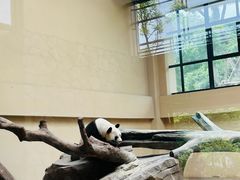 -宁波野生动物园