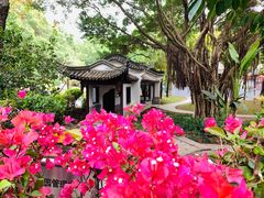 -深圳国际园林花卉博览园