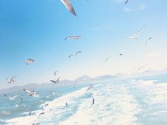 -海驴岛(荣成市)