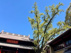 -灵谷景区