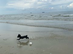 -有间冰室(侨港风情街店)