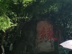 -杭州黄龙洞