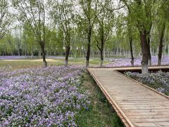 -东郊湿地公园