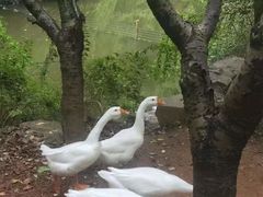 -绍兴鉴湖君澜大酒店