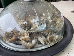 -港畔赶海蒸汽海鲜烧烤自助(仙螺岛店)