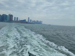 -招商蛇口邮轮母港(观光客运)