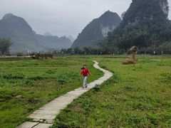 -靖西鹅泉风景区