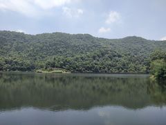 -桃花岭景区