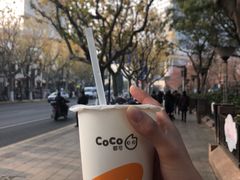 -CoCo都可(虹口龙之梦店)