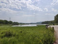 -御道口草原森林风景区