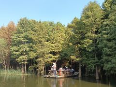 -尚湖风景区