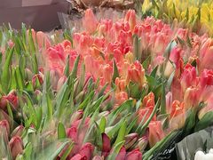 -循礼门鲜花花市(武汉循礼门店)