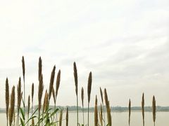 -滨江生态公园