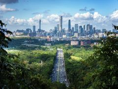 -火炉山森林公园