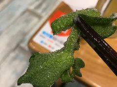 -顺承小院儿