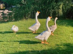 -台州府城(东湖)