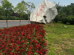 -金石滩蓝莓谷庄园