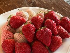 -布歌东京(金融街购物中心店)