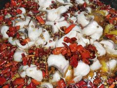 -金三可市井水煮鱼(金碧园店)