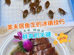 -美未居·老字号·地道顺德菜·桑拿鸡·鱼生(容桂店)