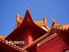 -深圳仙湖植物园