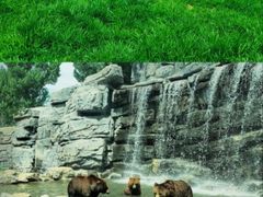 -北京野生动物园