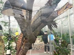 -南宫五洲植物乐园