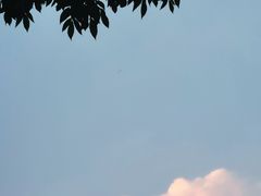 -清真-戏楼王记牛肉面