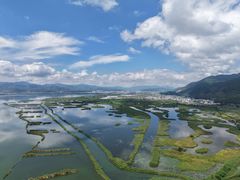 -野象谷景区