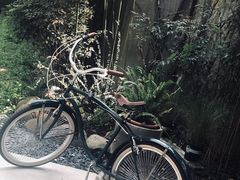 -胶囊画廊