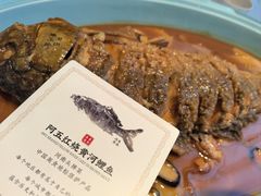 -阿五黄河大鲤鱼(英协路店)
