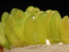 -Strawberry Butterfly草莓蝴蝶日式水果挞