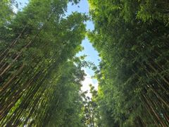 -昆明冠生园·蛋糕·面包(南强街店)