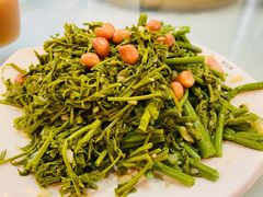 -京北渔家傲