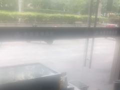 -申普宠物医院·眼科·心内科·影像科(普陀分院)