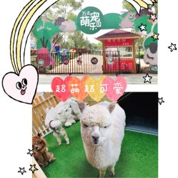 -萌宠亲子动物乐园(槐房万达店)