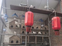 -鱼窝棚柴火铁锅炖(富山屯店)