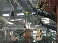 -南宫五洲植物乐园