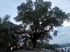 -香满阁小炒(古堰画乡景区店)