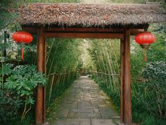 -新荣记(西溪湿地店)