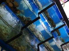 水产区-老东镇啤酒屋海鲜加工·蒸汽海鲜·海鲜烧烤(台东店)