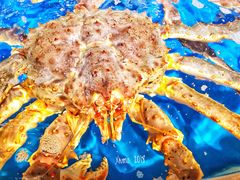 -盒马鲜生(莱蒙都会店)