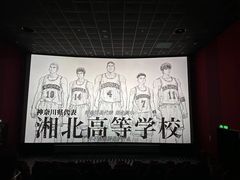 -SFC上影百联影城(八佰伴IMAX店)
