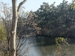-东海森林温泉度假酒店
