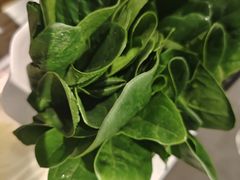 -南门四季铜锅涮肉(大屯·北苑店)