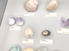 -天津古林古海岸遗迹博物馆