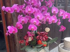 -月栖华明-云间草堂清茶馆(泗泾古镇店)